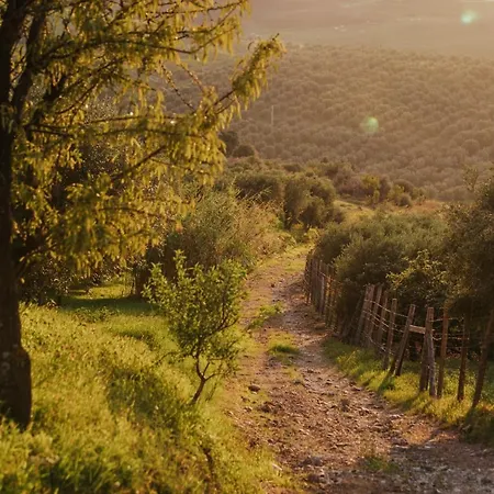 Séjour à la ferme Terre Di Himera *